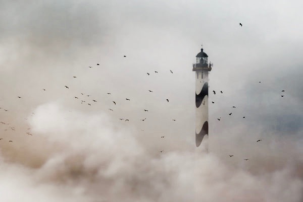 eagles-around-lighthouse-fog